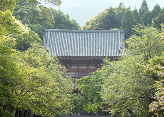 真言宗醍醐寺派総本山・醍醐寺とは